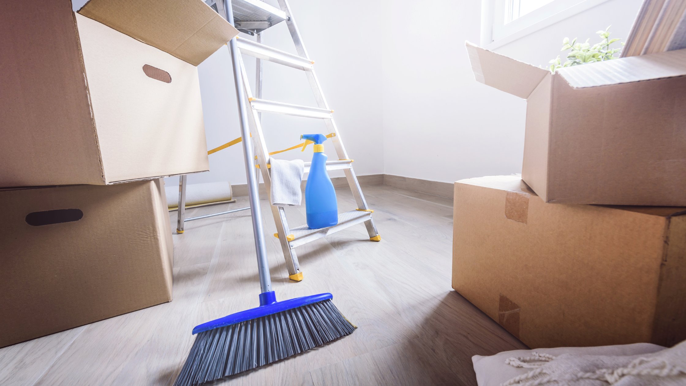 Move-In Cleaning